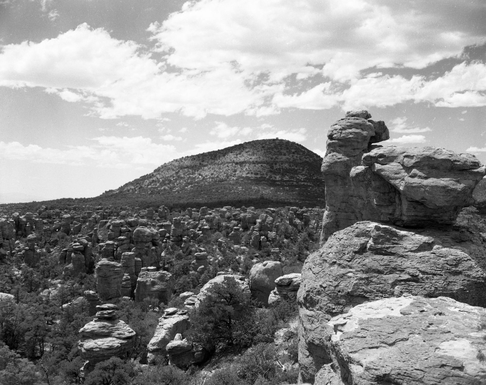 Chiricahua National Monument